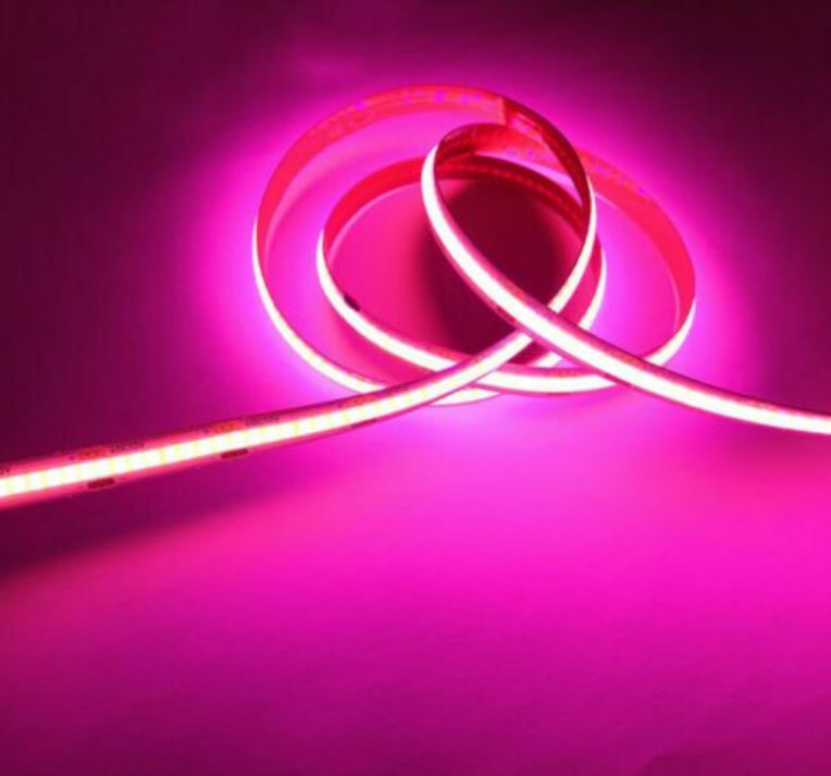 Rola 5m Banda LED COB Magenta 12V - 320 led/m, 10W/m